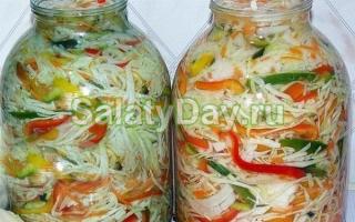 Вкусные рецепты салатов из овощей на зиму