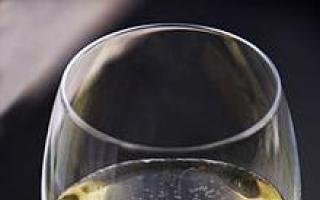 Отличия игристого вина от настоящего шампанского Немецкие игристые вина