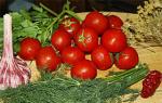Как солить помидоры на зиму: подборка самых «вкусных» рецептов